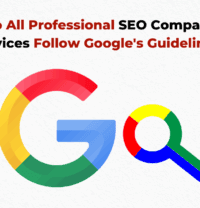 Professional SEO Company Services