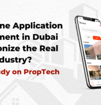 iPhone Application Development in Dubai