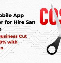 Mobile App Developer for Hire San Francisco